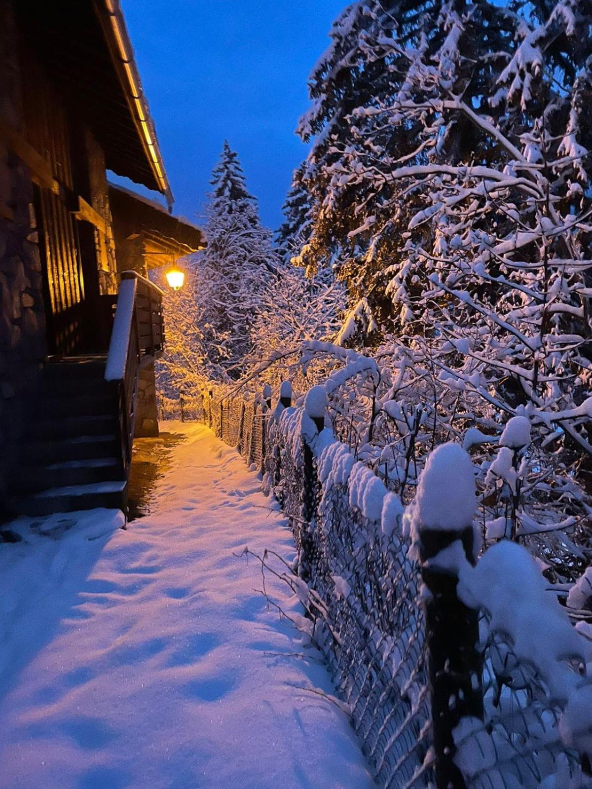 Chalet Les Avernes - Champagny En Vanoise, Domaine La Plagne Paradiski Extérieur photo